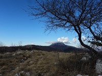 Slika.